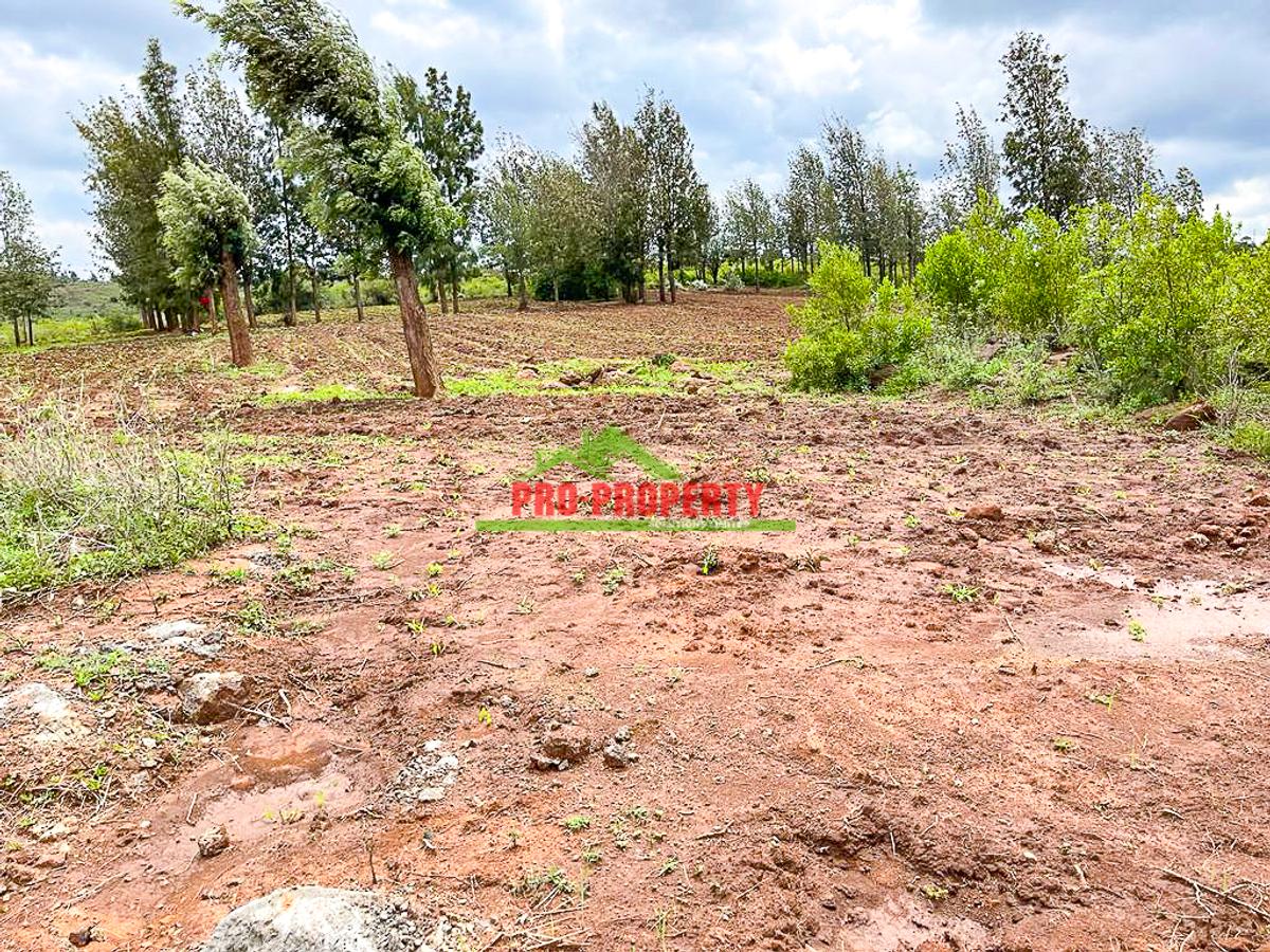 5 ac Land at Lusigetti - 8