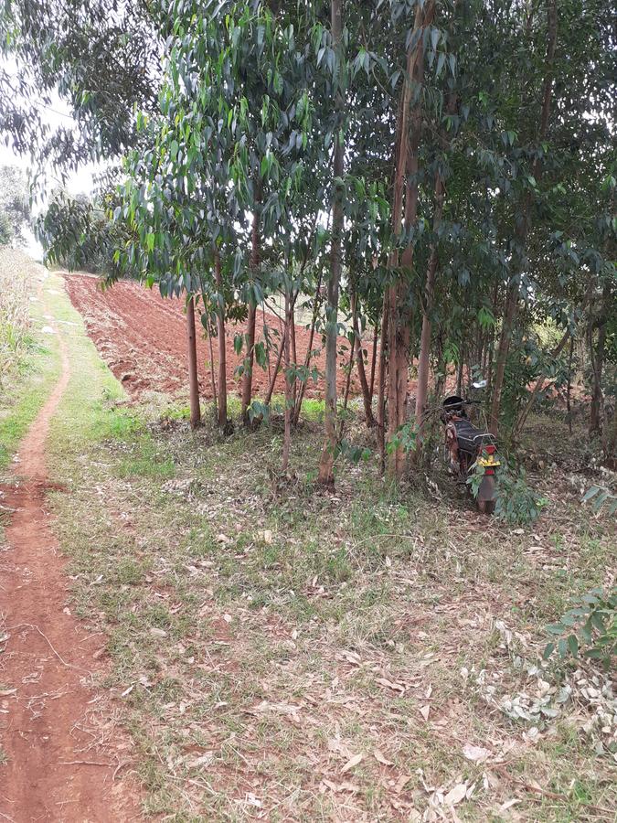 0.7 ac Land in Kikuyu Town - 6