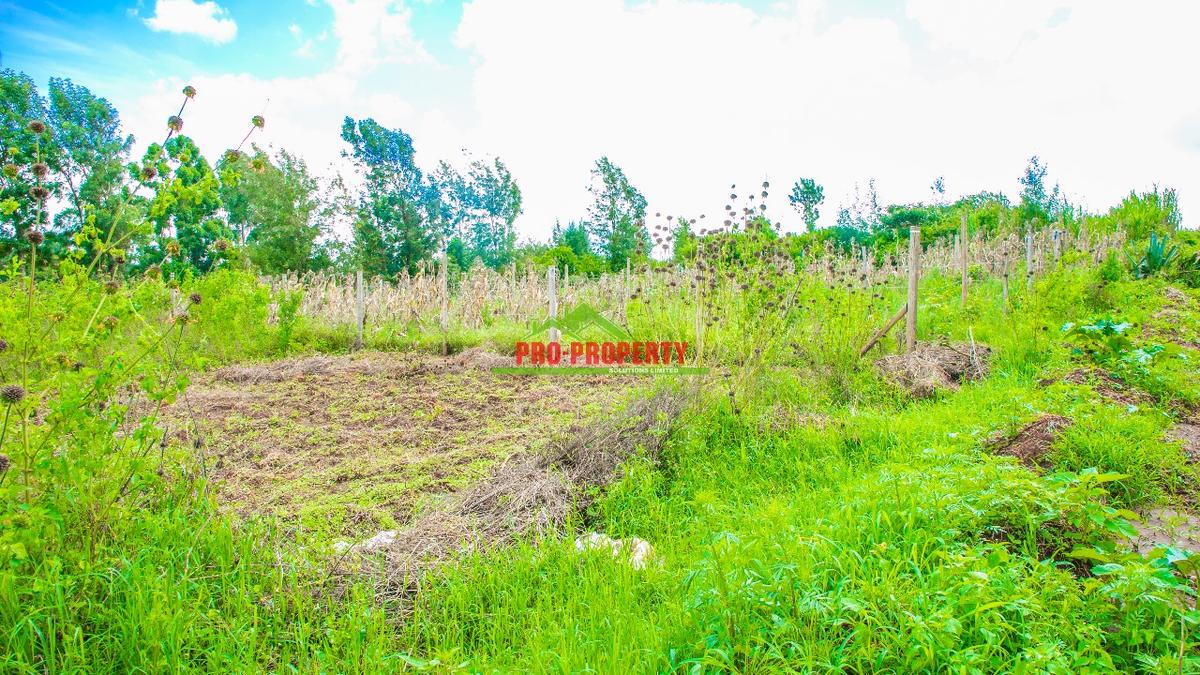 0.07 ha Residential Land at Gikambura - 4