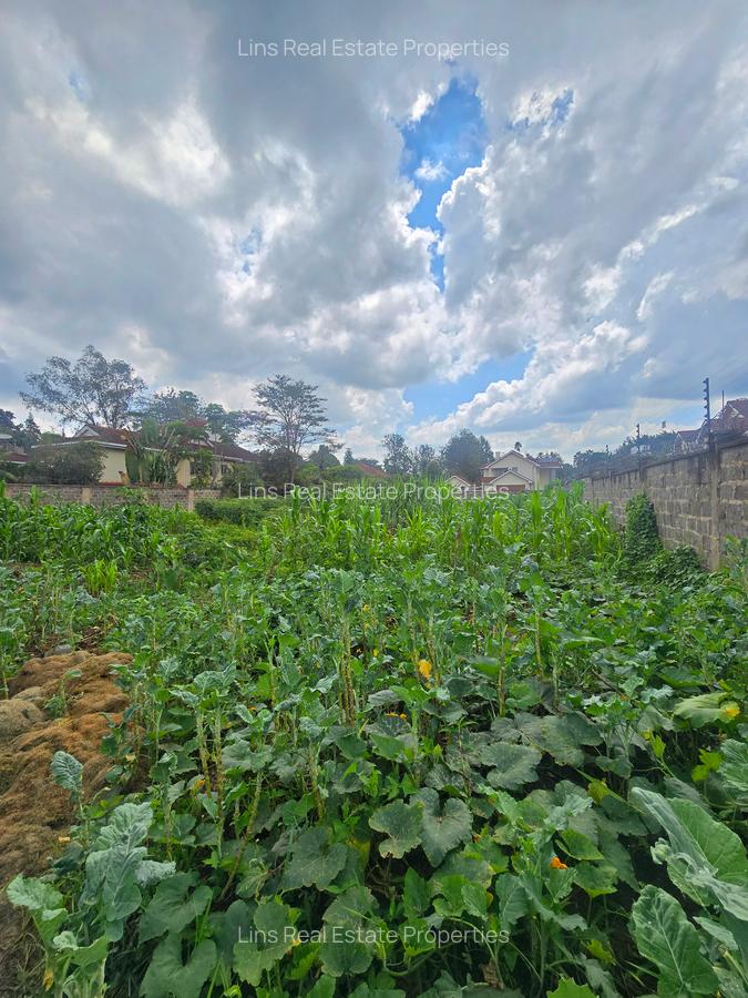 Residential Land in Runda - 5