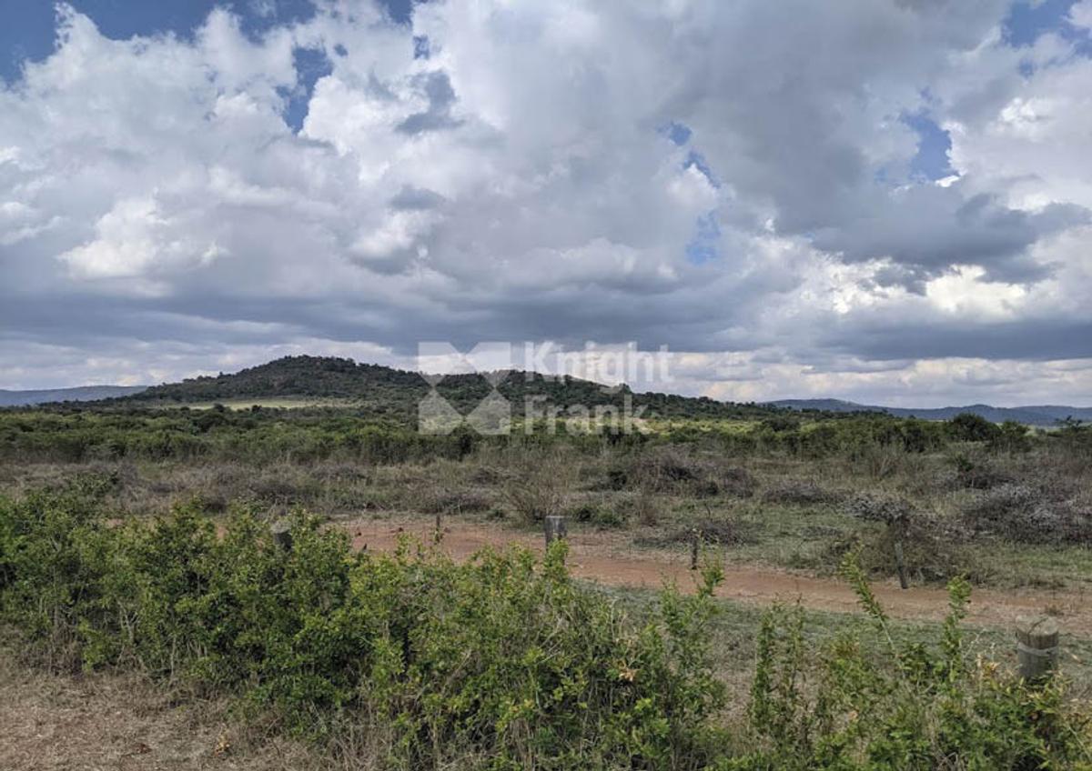 9.7 ac Land in Nanyuki - 1