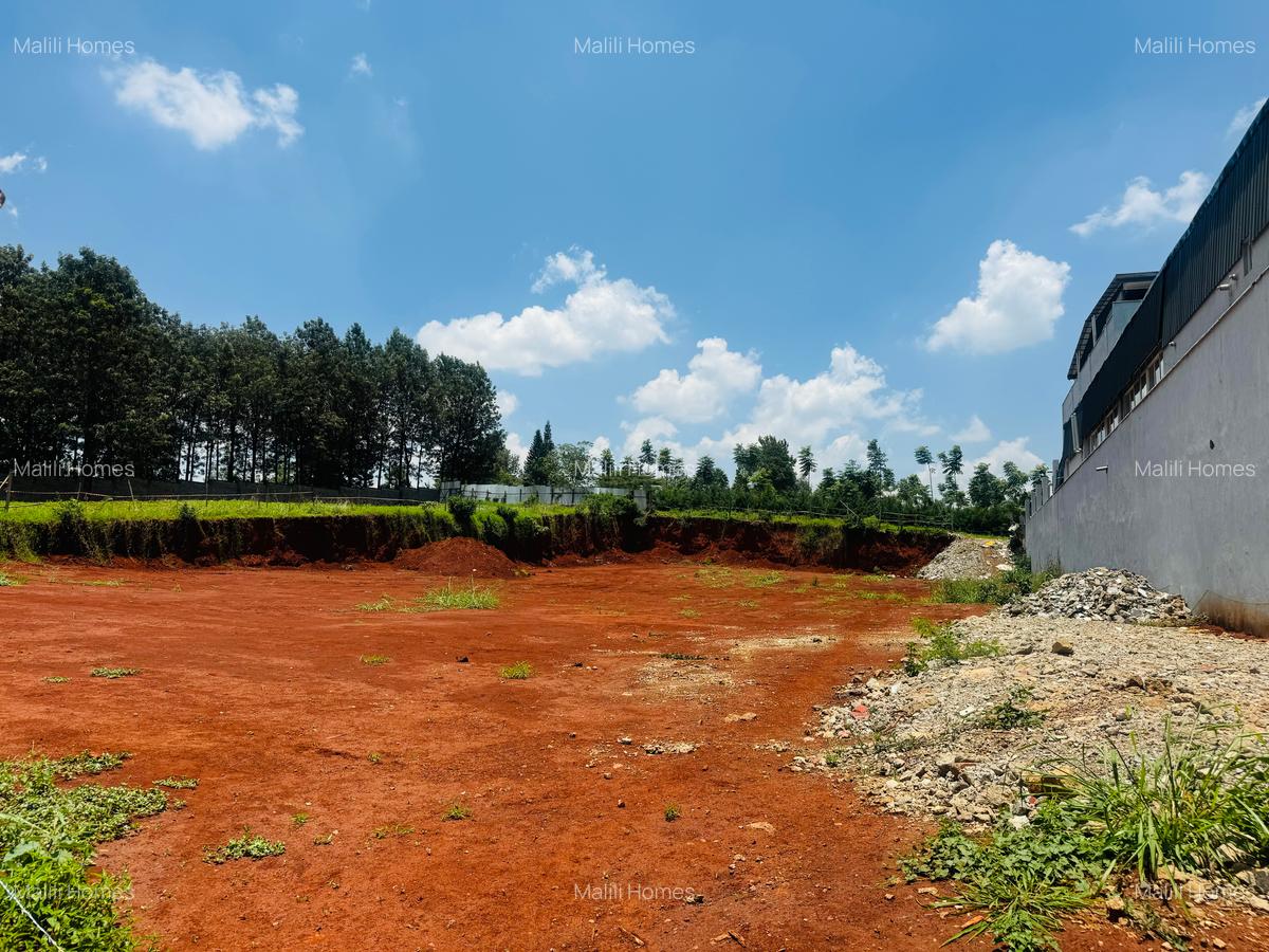 Commercial Property in Thindigua - 3