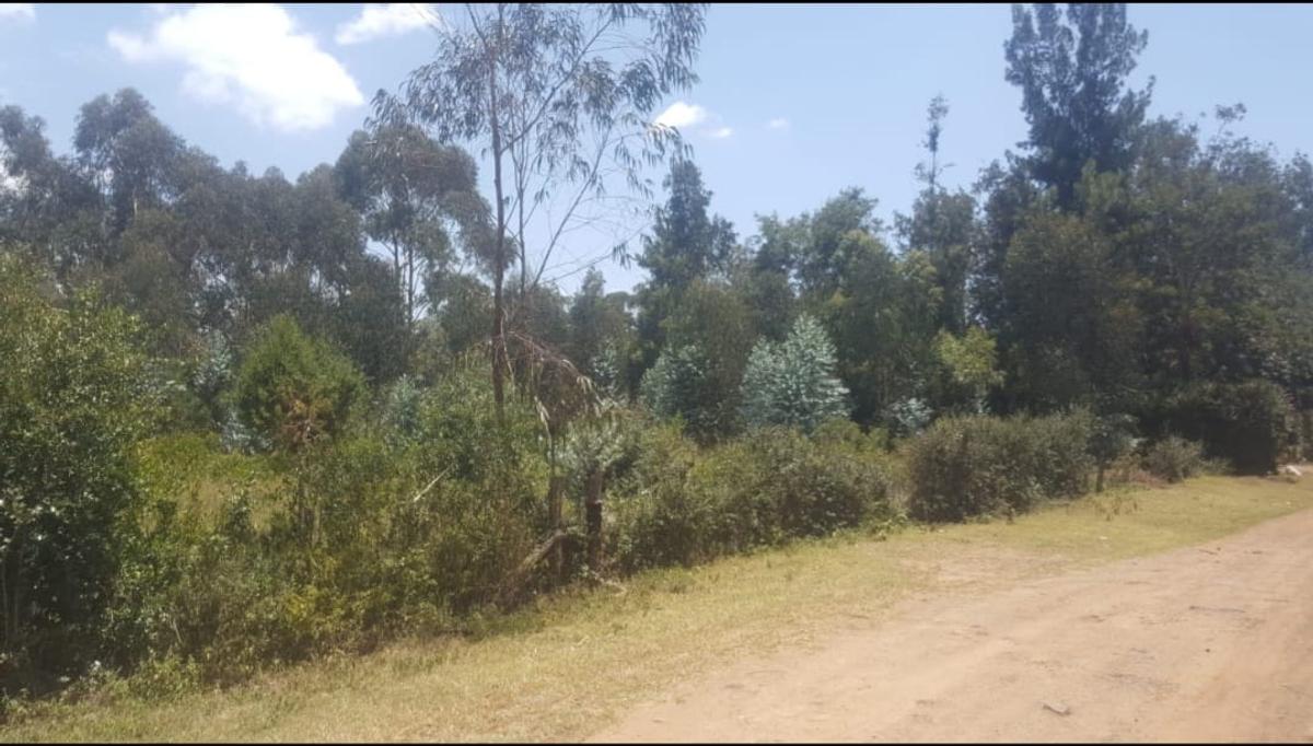 Land in Nanyuki - 9