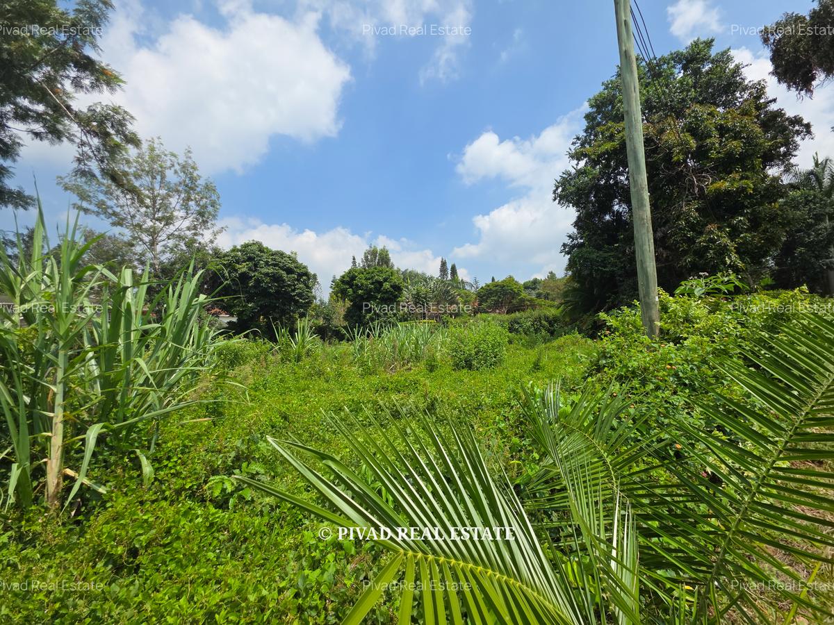 0.5 ac Land at Muthithi Gardens - 3