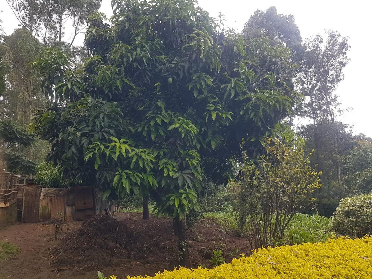 1.25 ac Land in Ngong - 7