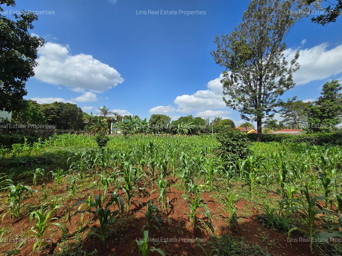 Residential Land in Runda - 7