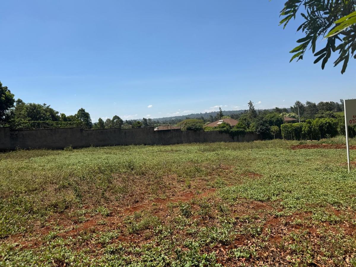 0.6 ac Residential Land in Runda - 4