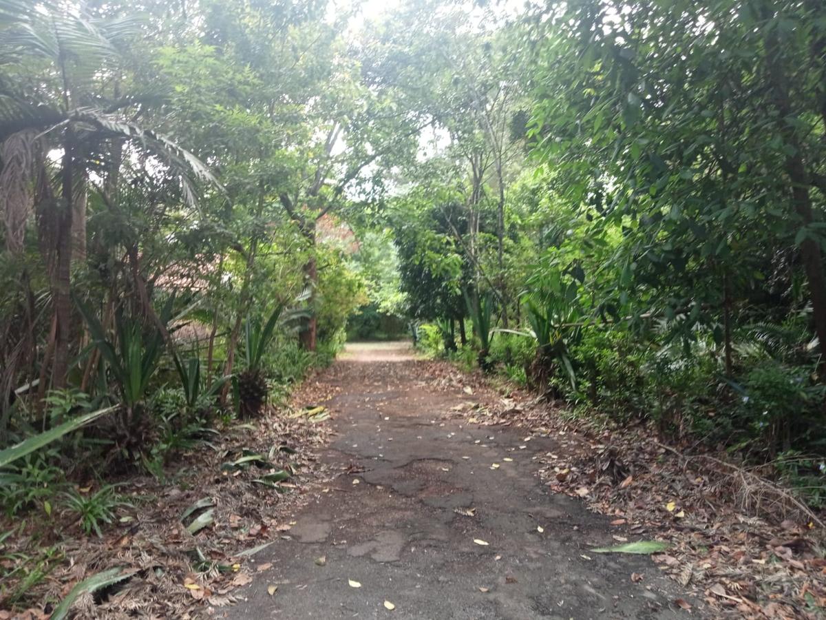 Land at Kitisuru Road - 2