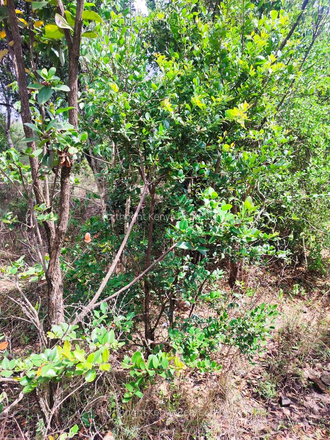 Residential Land at Hardy - 5