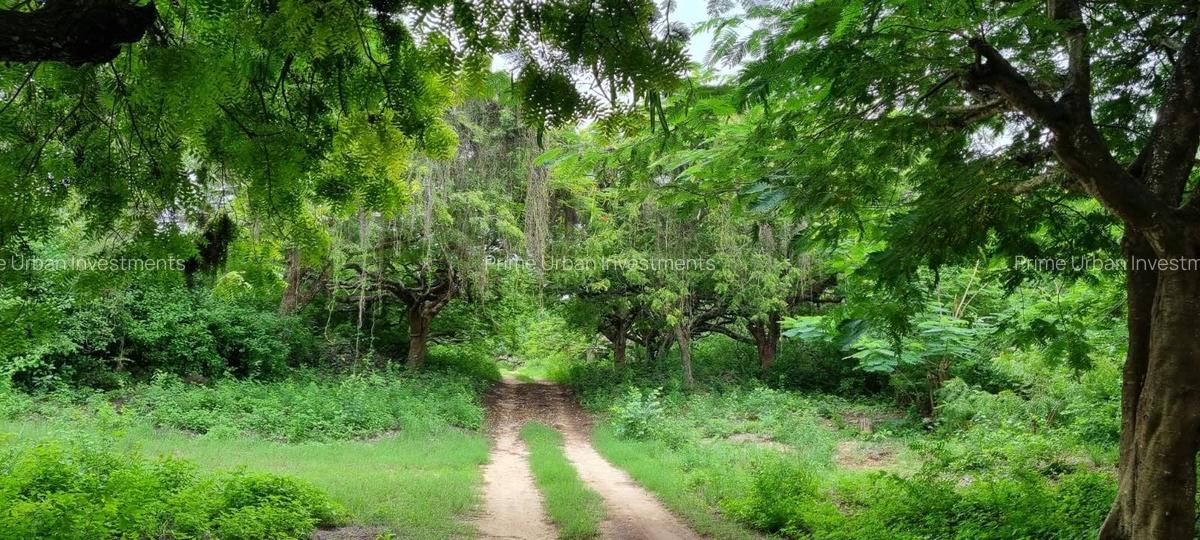 Land in Vipingo - 16