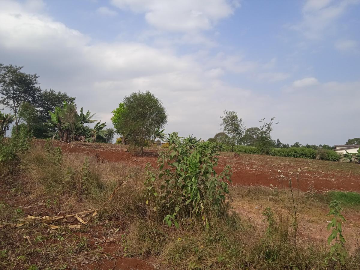 Land in Tigoni - 2