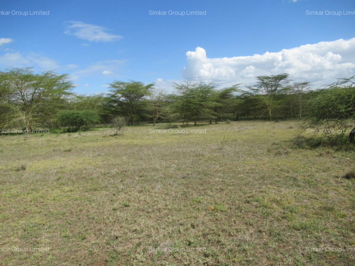 Land at Kitengela - 9