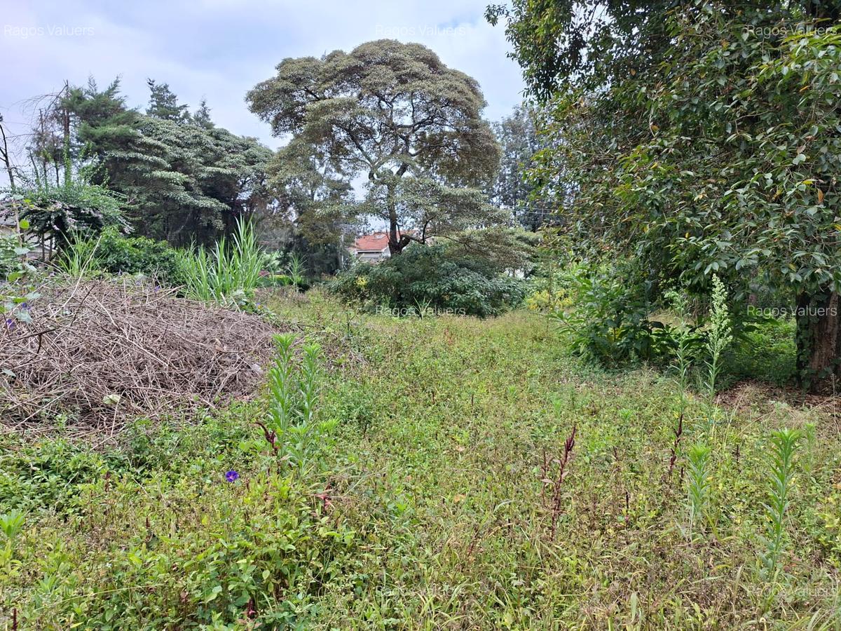 0.5 ac Land at Hillcrest Road - 3