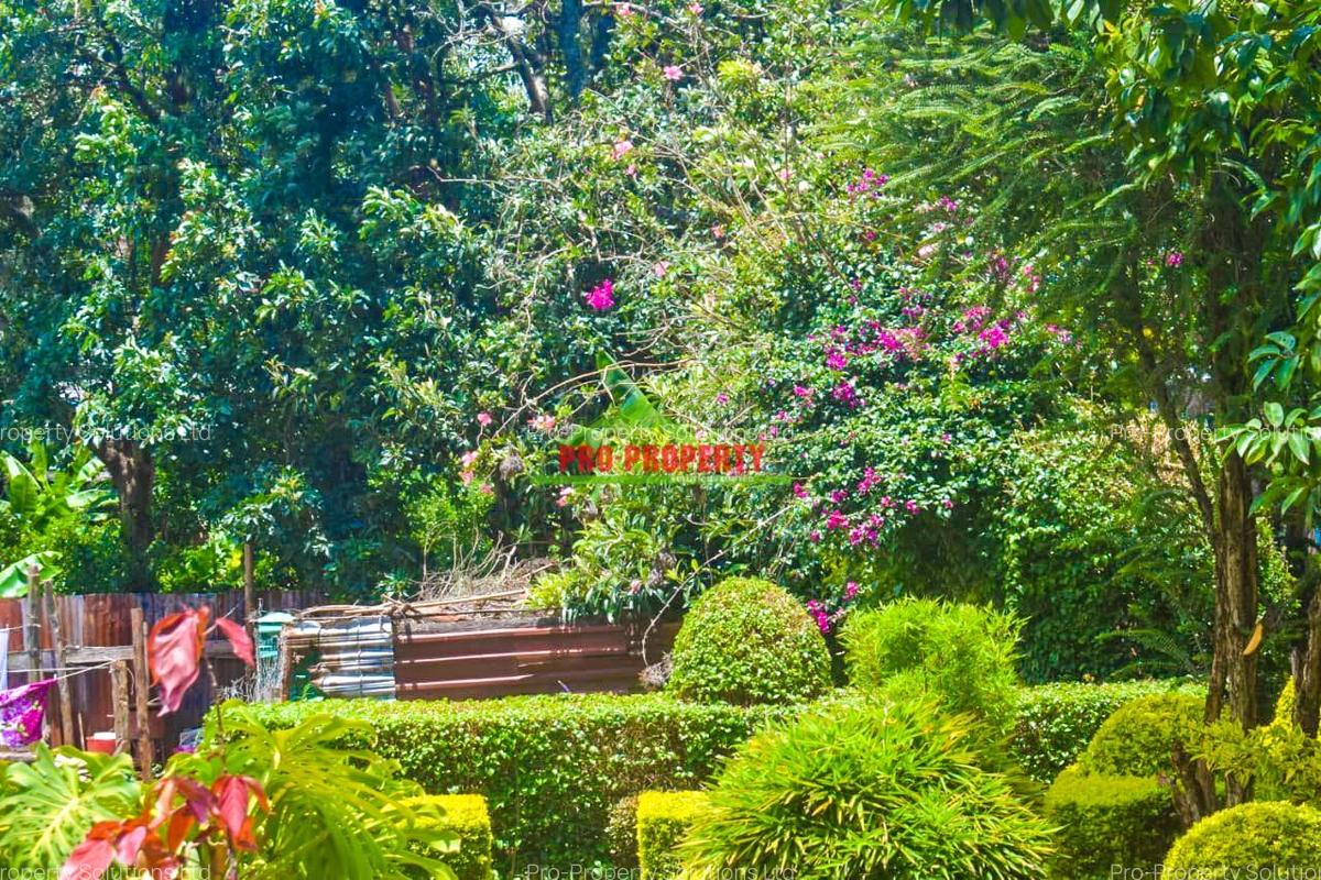 0.1 ha Commercial Land at Kinoo - 10