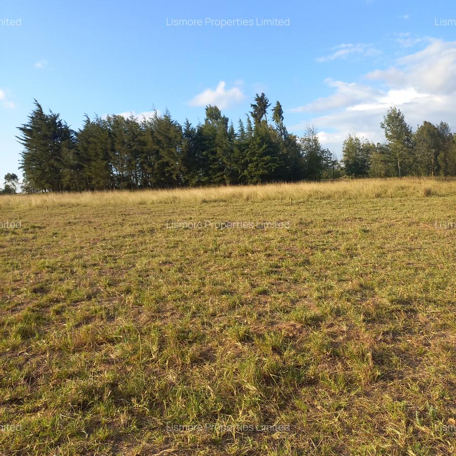 Land in Nyeri - 2