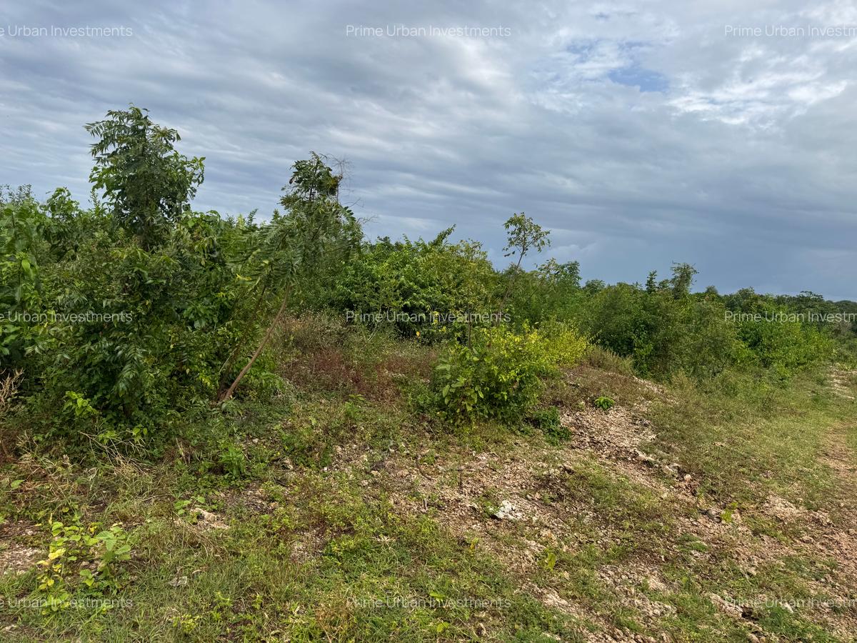 10 ac Land in Vipingo - 9