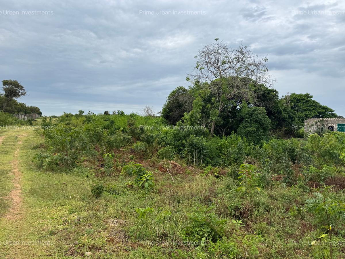 10 ac Land in Vipingo - 3