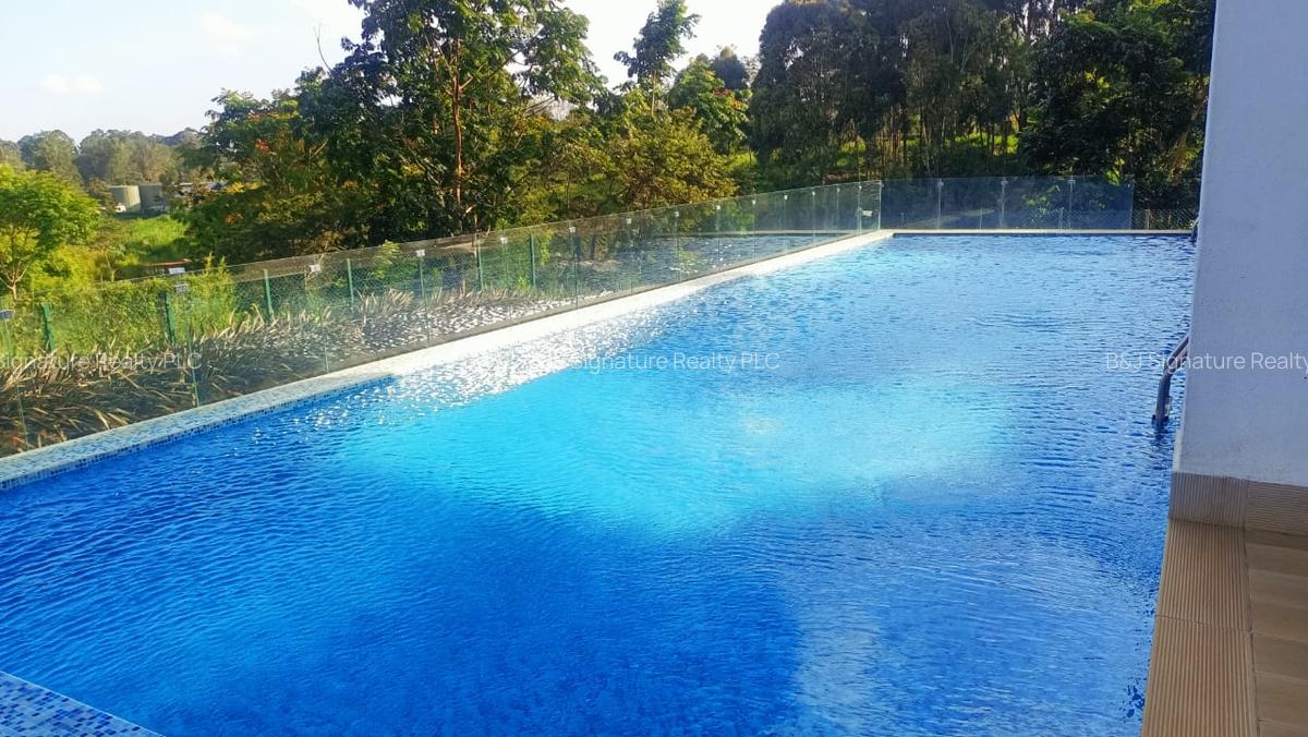 2 Bed Apartment with En Suite in Gigiri - 13