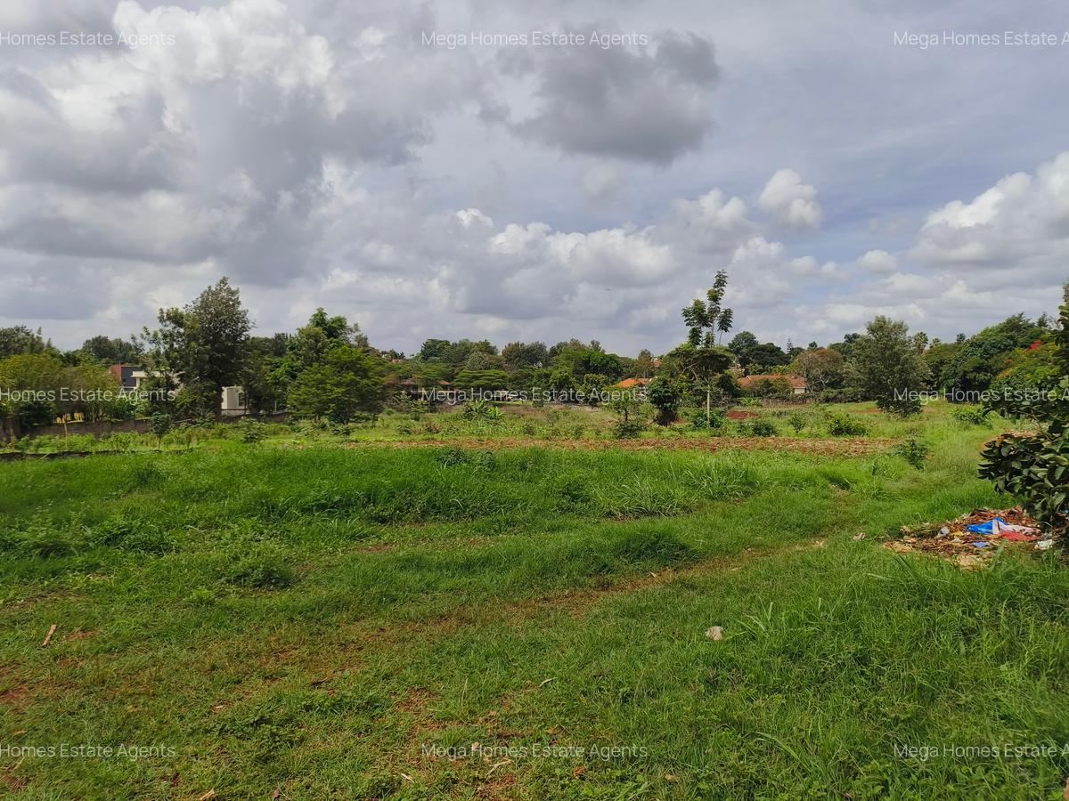 3 ac Land in Runda - 3