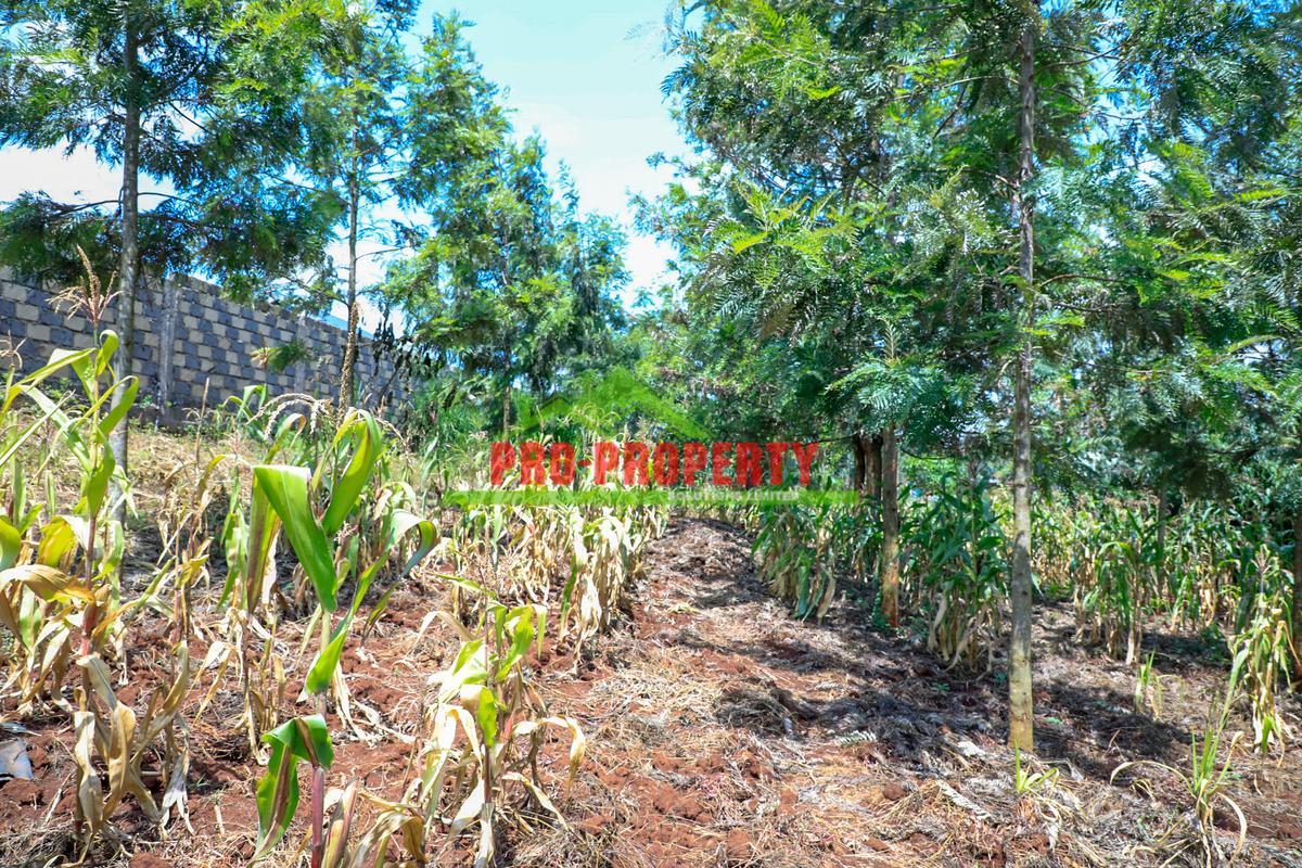 0.1 ha Residential Land at Thamanda - 7