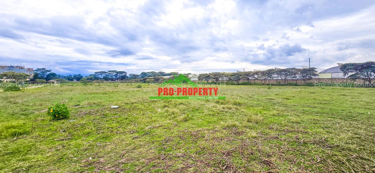 0.05 ha Residential Land in Naivasha - 5