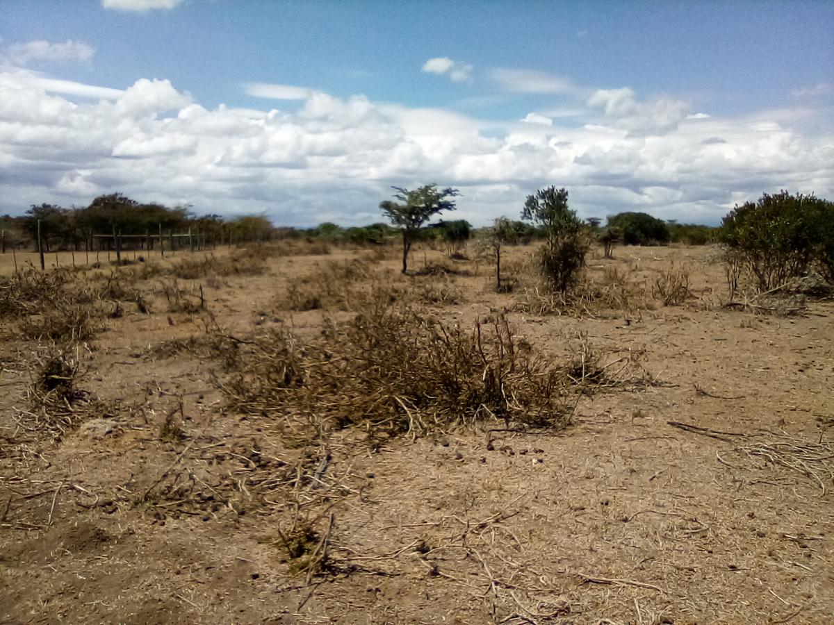 Land at Nanyuki - 16