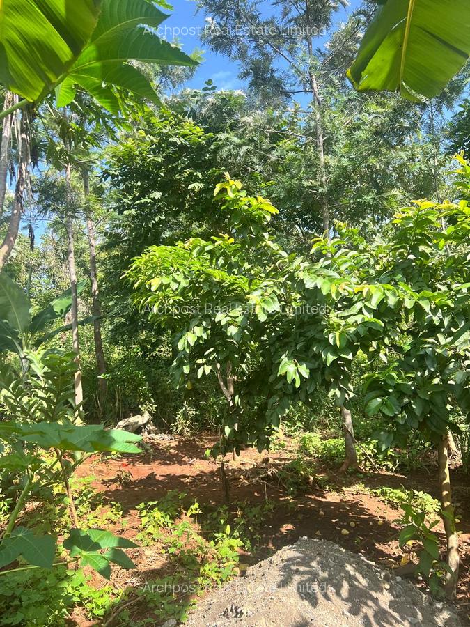 2 ac Land at Karingani - 6