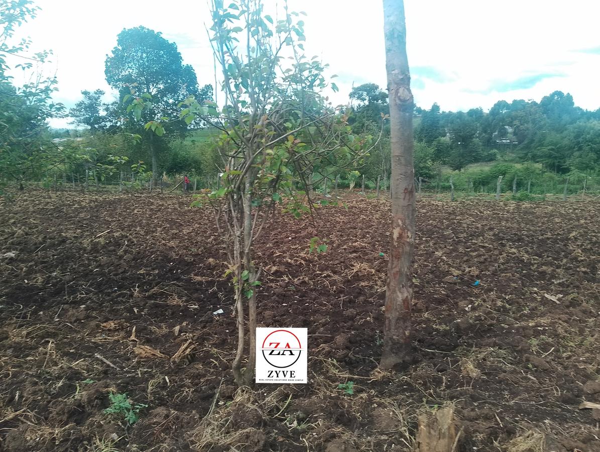 0.125 ac Land at Oloropil Ward - 6