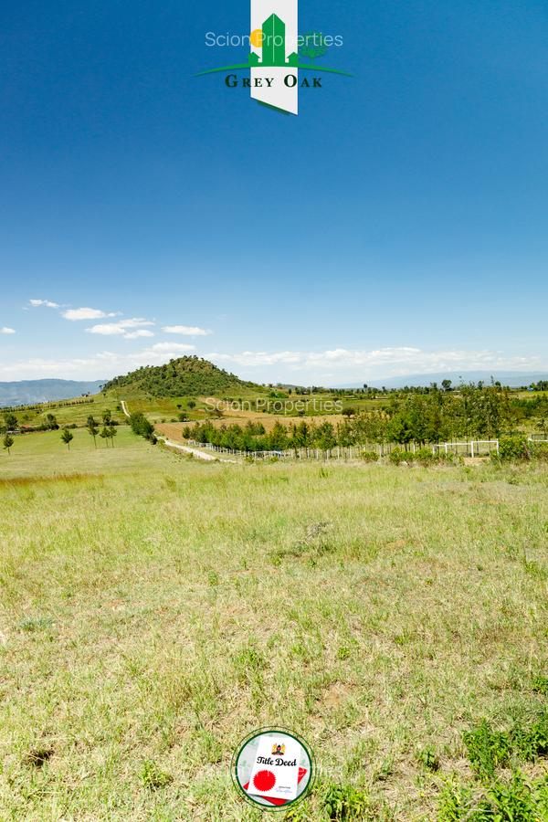 0.125 ac Residential Land in Naivasha - 1