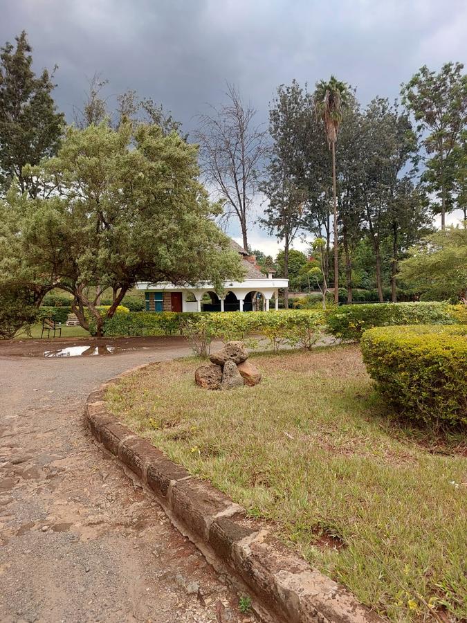 Commercial Property in Lavington - 4