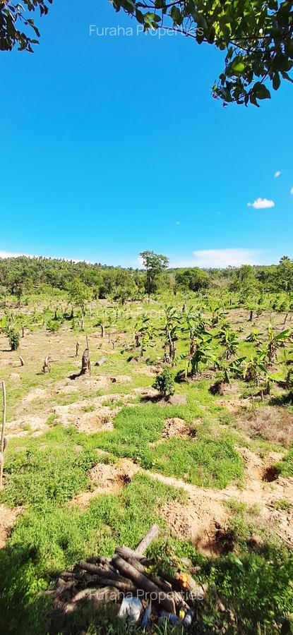 Land at Msambweni - 15