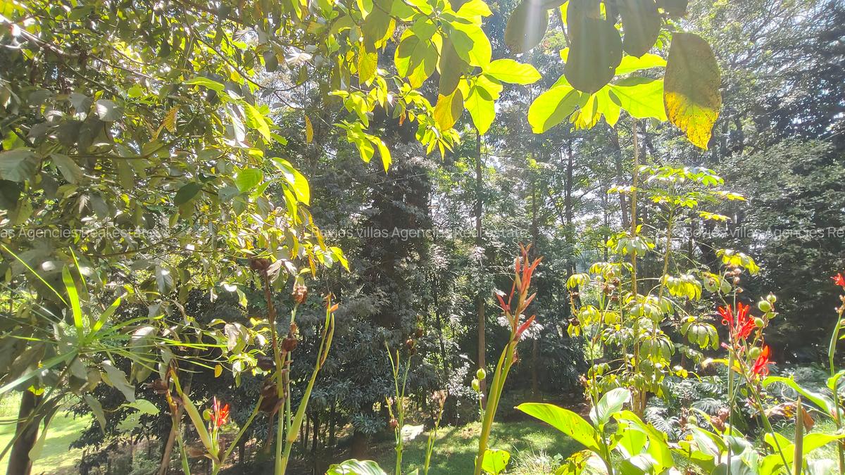 Residential Land at Kyuna - 2