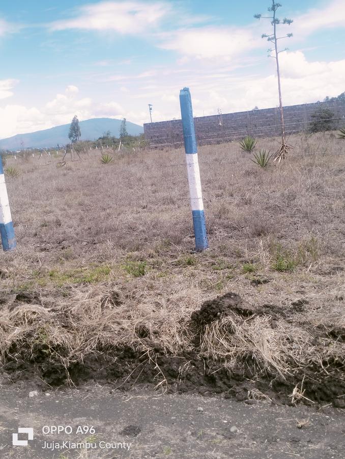 Residential Land in Juja Farm - 13