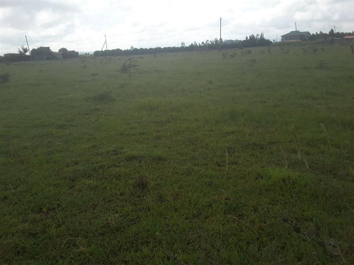 0.1 ac Residential Land in Ongata Rongai - 5