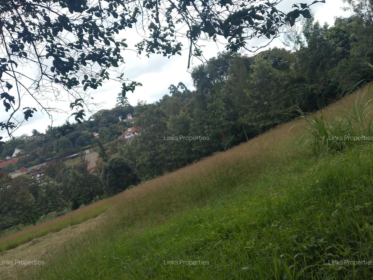 Residential Land at Kerarapon Road - 8