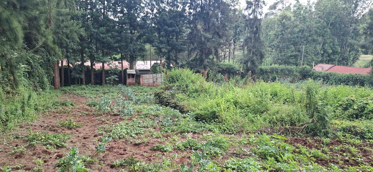 0.5 ac Land in Ngong - 2