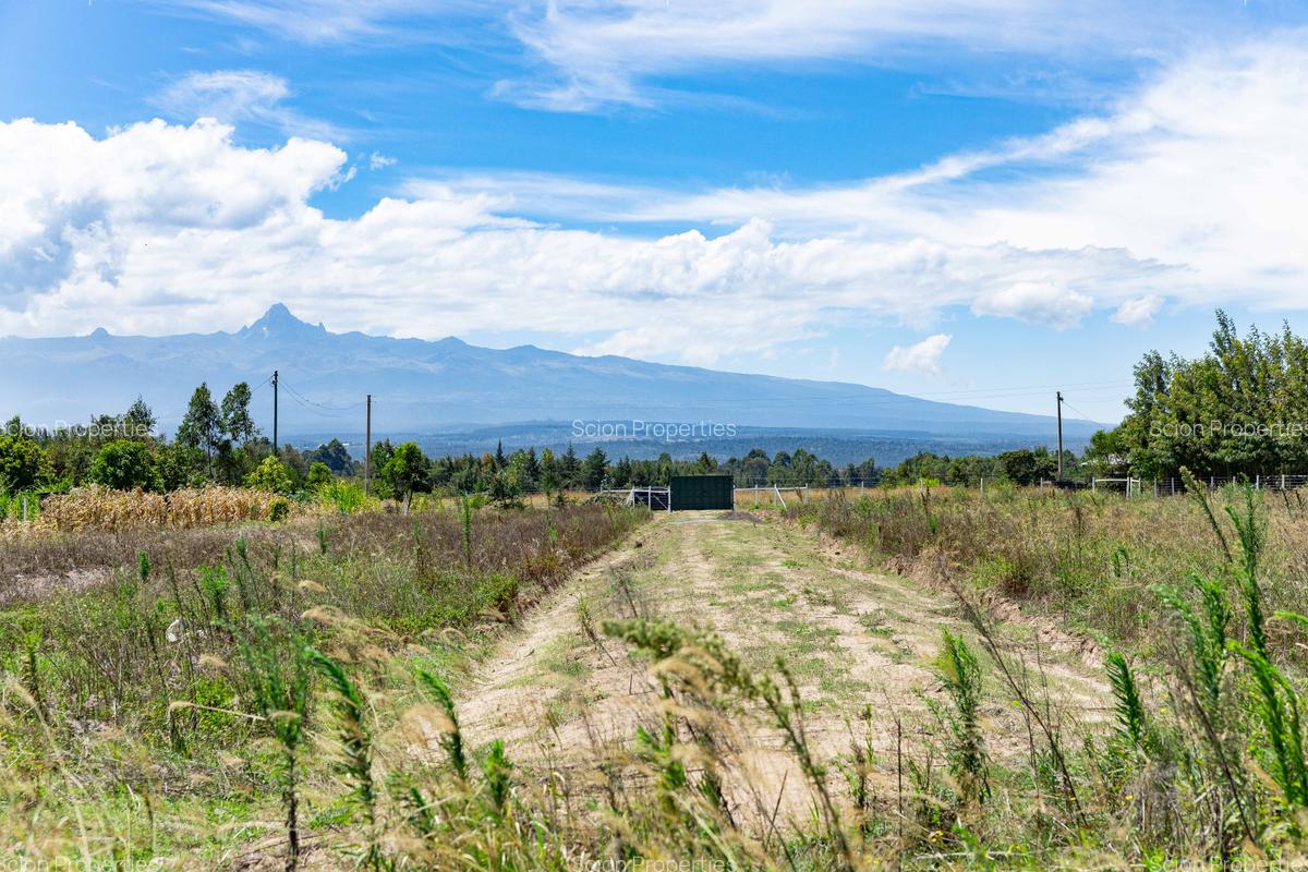 0.125 ac Residential Land in Nanyuki - 10