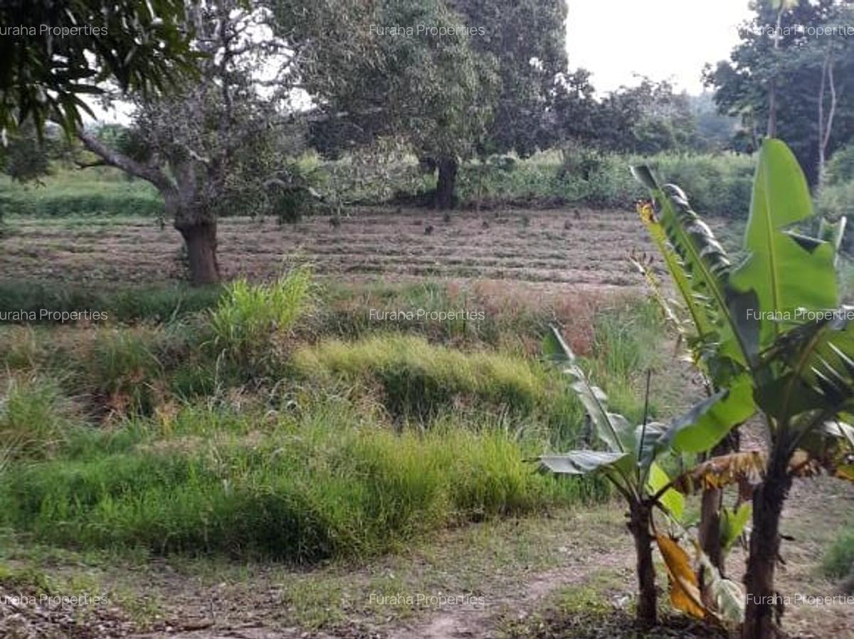 80,940 m² Commercial Land in Kwale County - 4