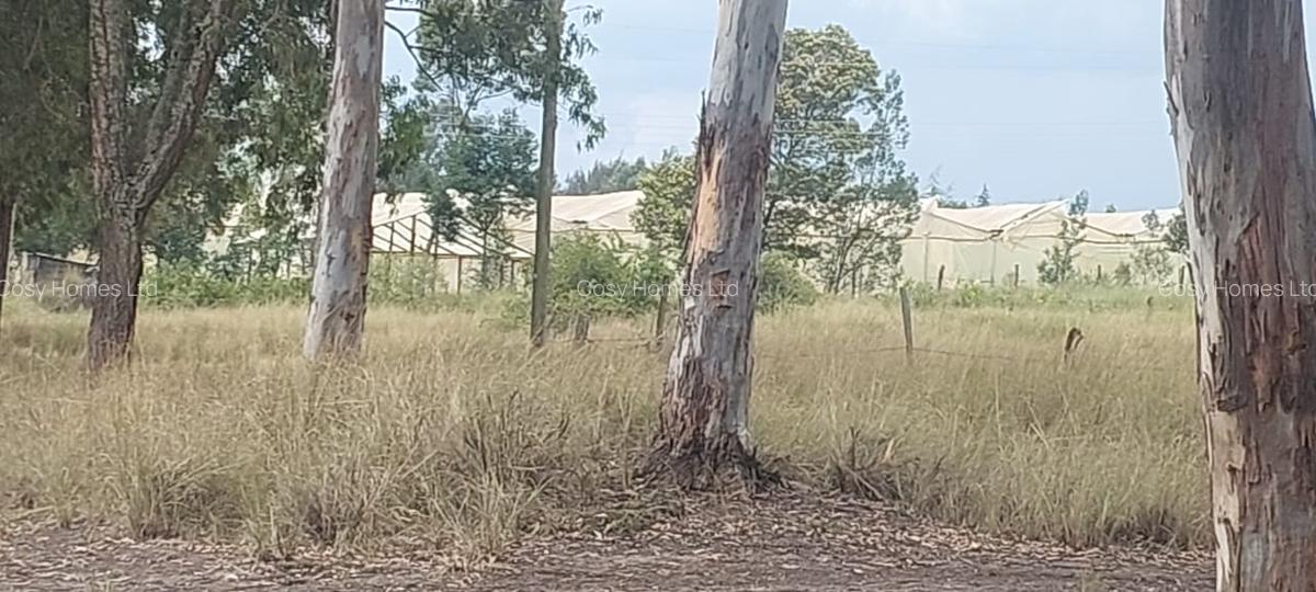 Land at Mwiyogo - 13