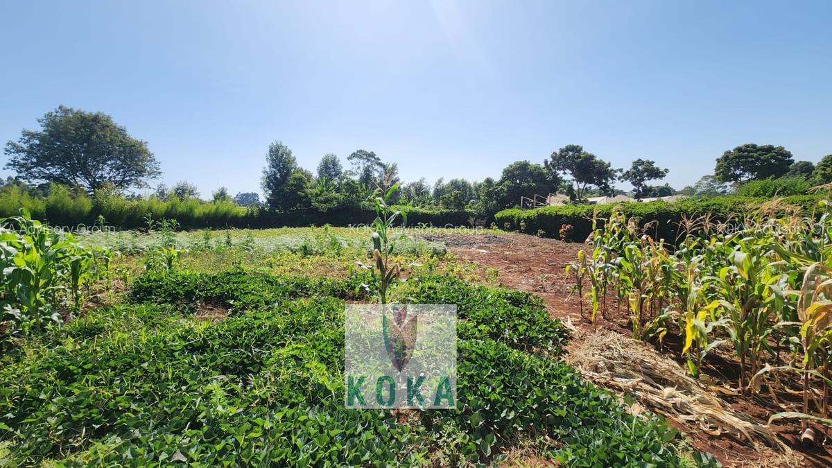 0.5 ac Land in Tigoni - 3