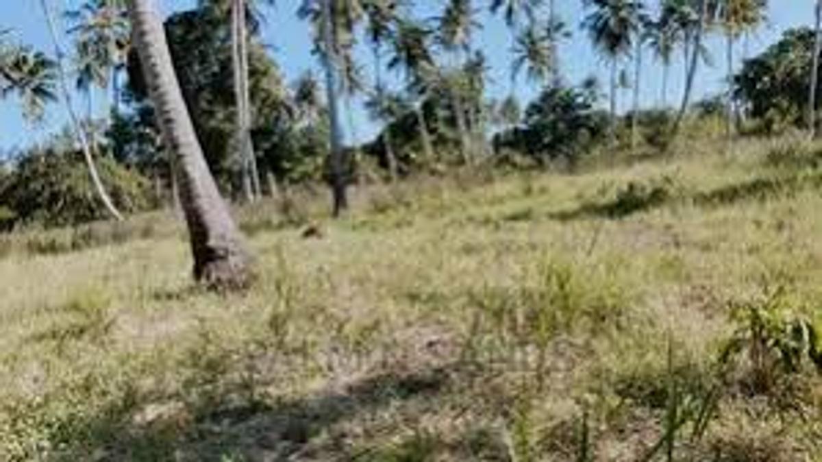 5,000 ac Residential Land in Diani - 9