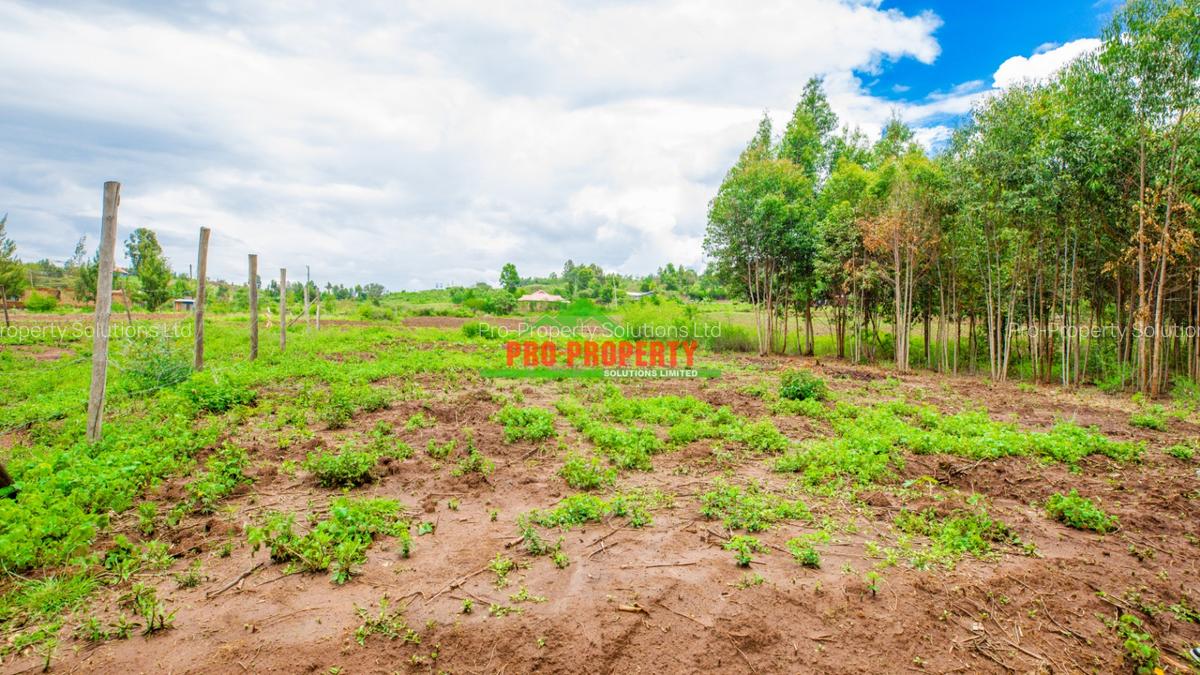 0.05 ha Residential Land at Nduiguine - 12