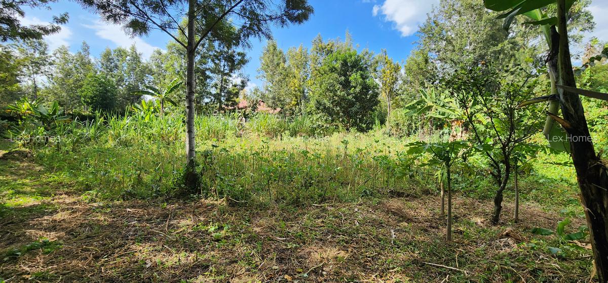 0.202 ha Residential Land at Rimpa - 13