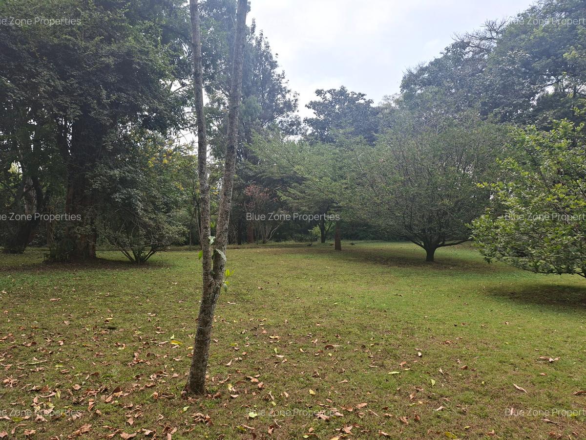 Land at Off Ridgeways/Kiambu Rd - 3