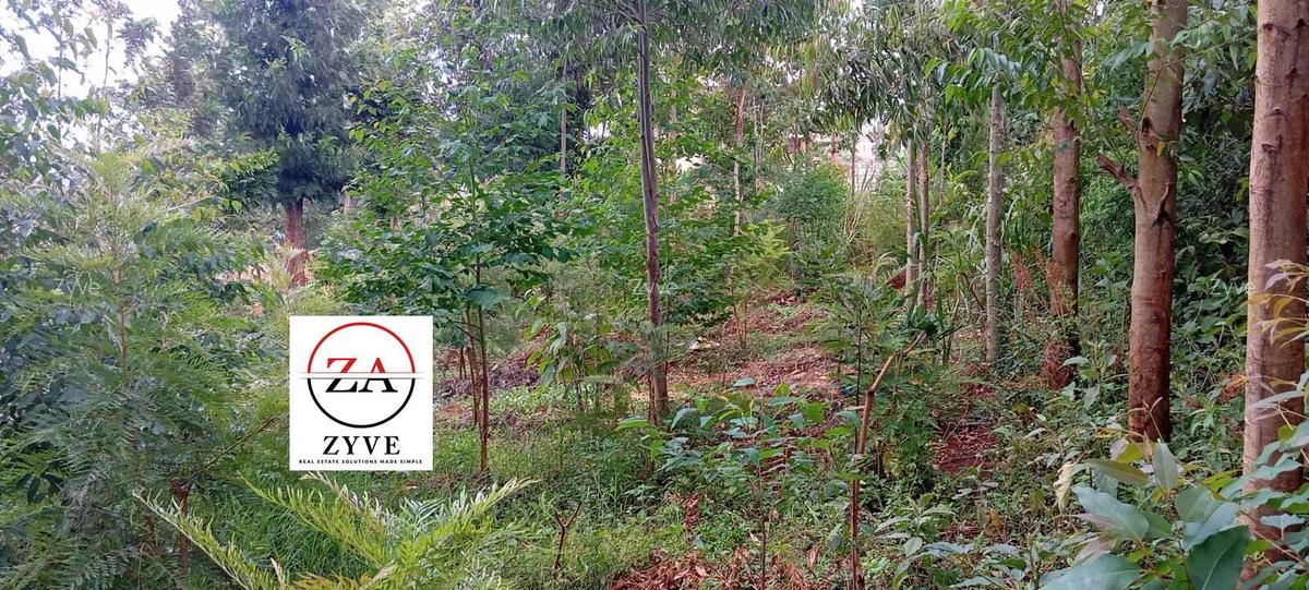 0.125 ac Land at Kasphat Estate - 8