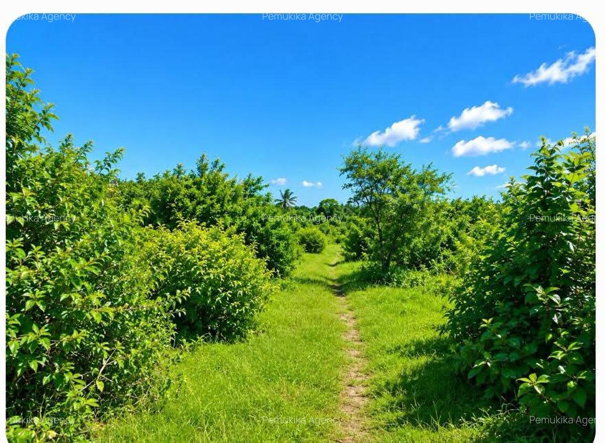 Commercial Land in Malindi - 1