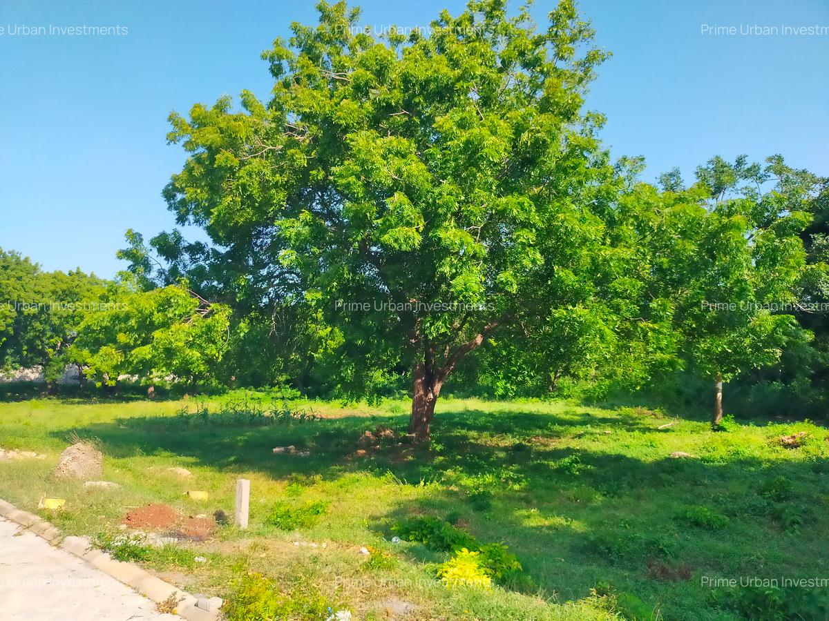 Land in Vipingo - 8
