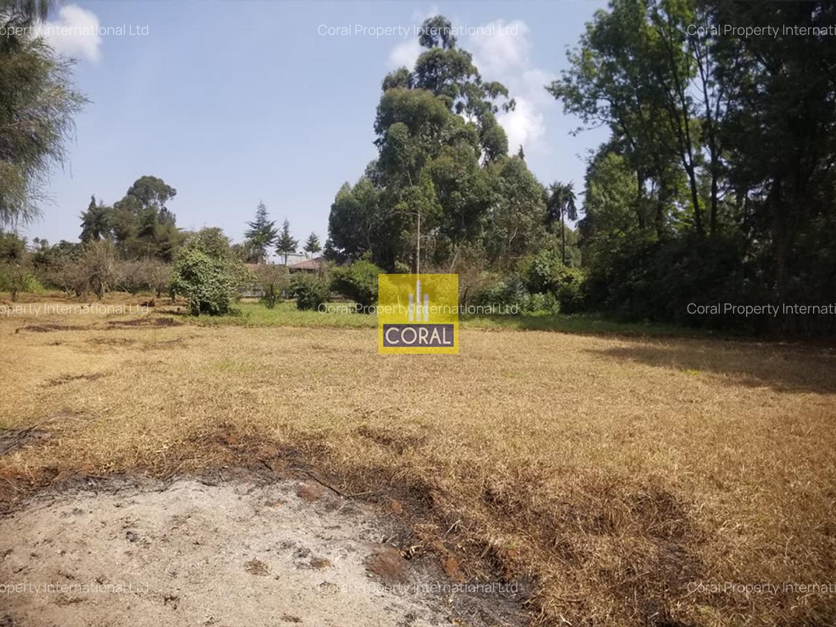 Land in Limuru Town - 6