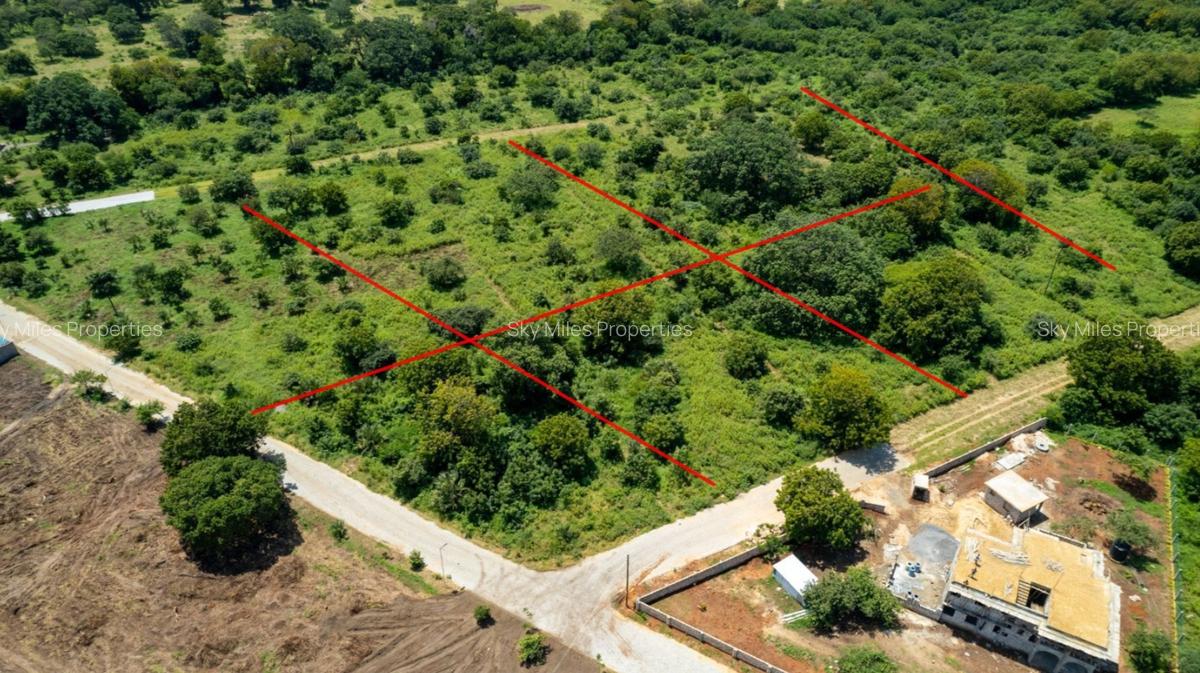 1,000 m² Land at Kuruwitu - 12