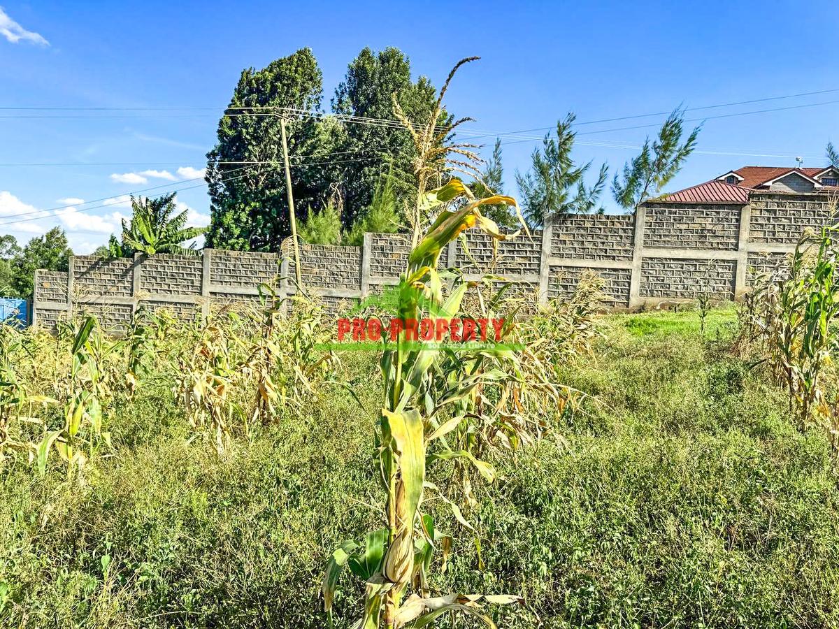 0.1 ha Residential Land at Muguga - 11